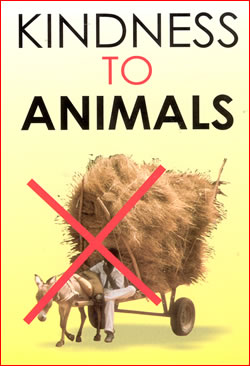 Kindness to Animals
