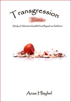 Transgression - Dhulm (3 CDs)