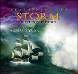Weathering The Storm - Virtues Of Patience (CD)