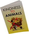Kindness to Animals