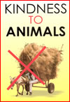 Kindness+to+Animals