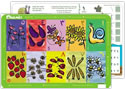 Arabic Numbers Activity Table Mat