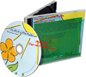 Life of a Little Muslim - Abu Umayr Stars (CD)