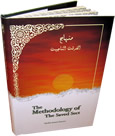 Methodology+of+the+Saved+Sect